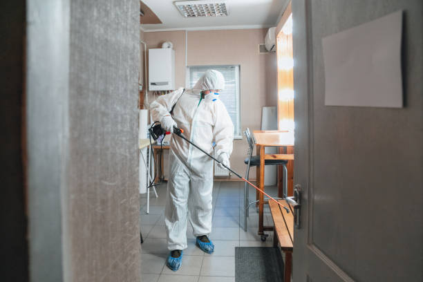 Best Mold Odor Removal Services  in Star Valley, AZ