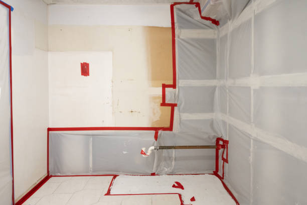 Best Environmental Consulting for Mold Prevention  in Star Valley, AZ