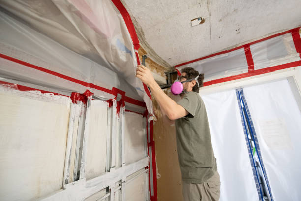 Best Real Estate Mold Inspection  in Star Valley, AZ