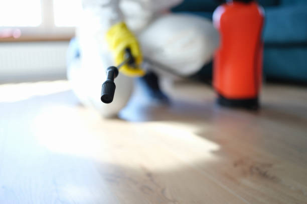 Mold Remediation for Rental Properties in Star Valley, AZ