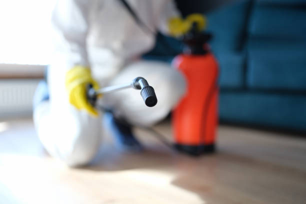 Best Dehumidification Services  in Star Valley, AZ