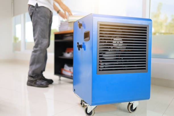 Best Residential Mold Inspection & Testing  in Star Valley, AZ