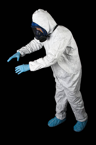 Best Black Mold Removal  in Star Valley, AZ