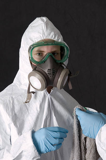 Best Comprehensive Air Testing for Mold Contaminants  in Star Valley, AZ